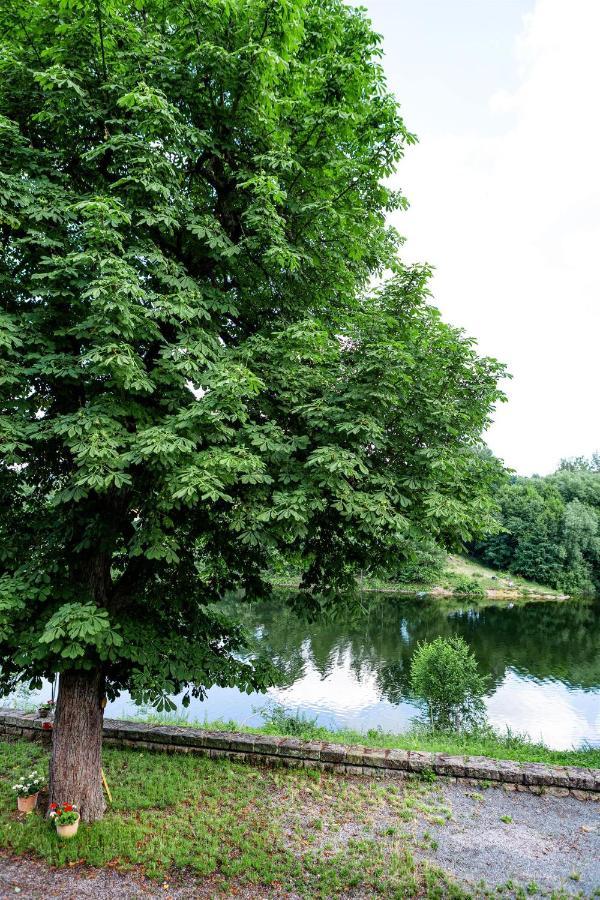 Haus Seeblick Dippoldiswalde Exteriér fotografie
